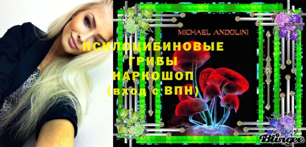 не бодяженный Арсеньев