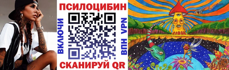 Галлюциногенные грибы Cubensis что такое мориарти официальный сайт Старица omg рабочий сайт